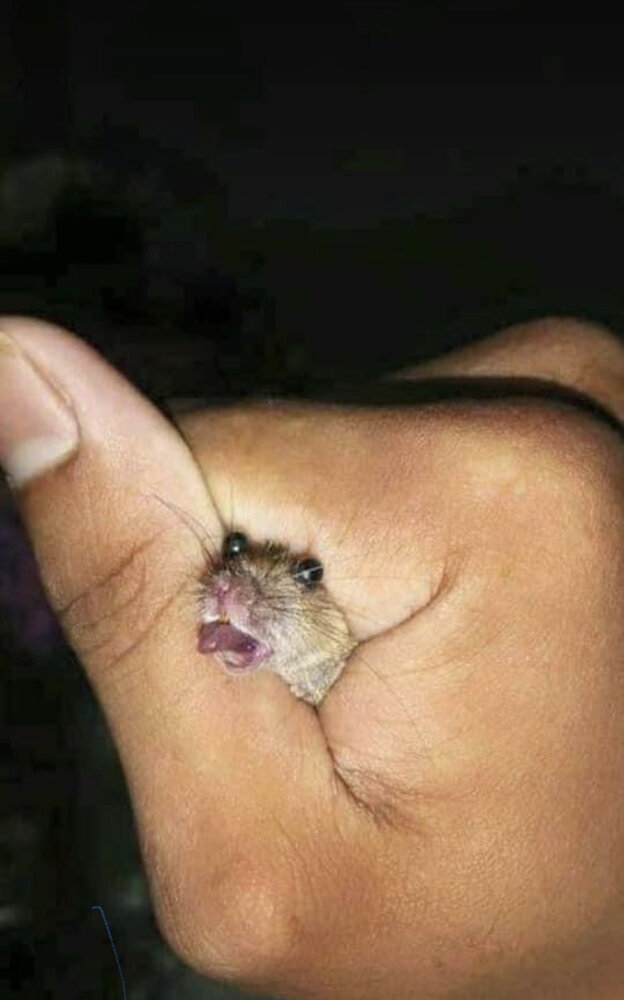 C97C5CA3 9F16 4D55 8306 9B2F55522803