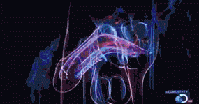 Source 1