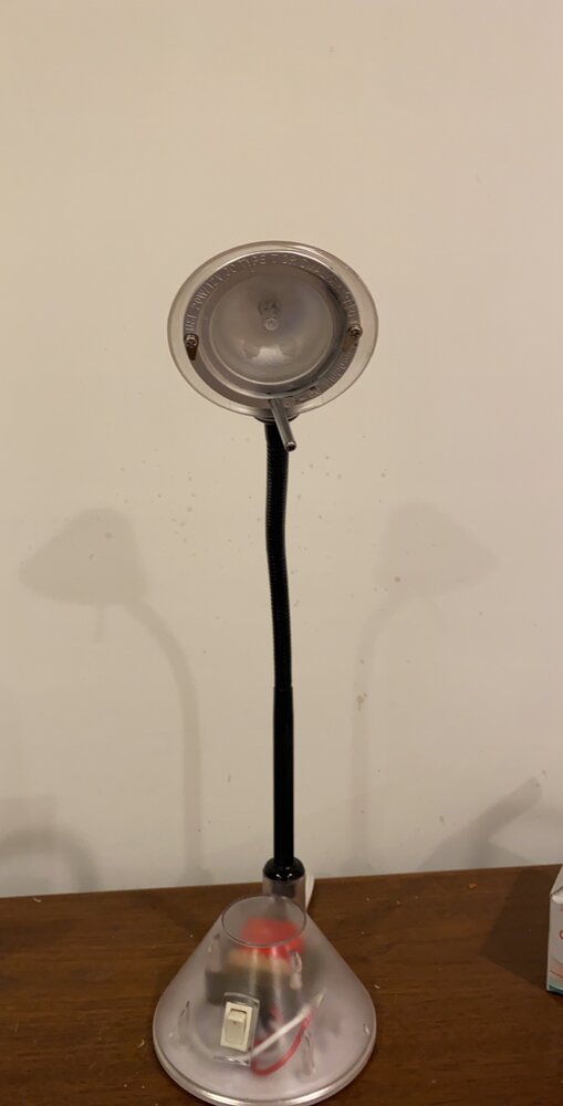 2C80A60A 5D98 4315 BB7C 31E493B6949A