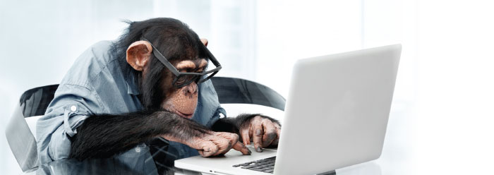 Monkey biz chimp wide