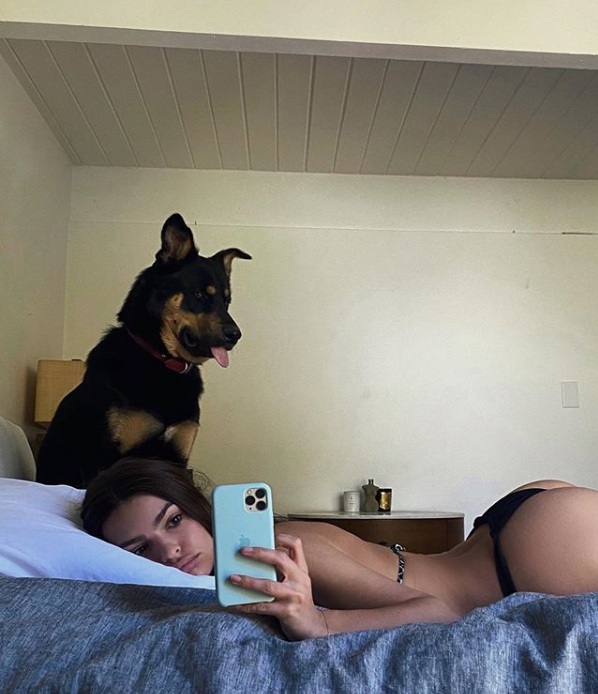 Dogpill