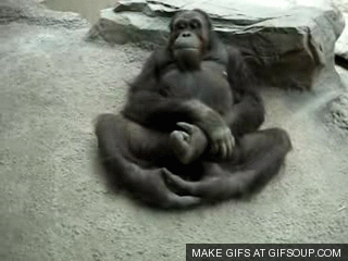 Giphy 5