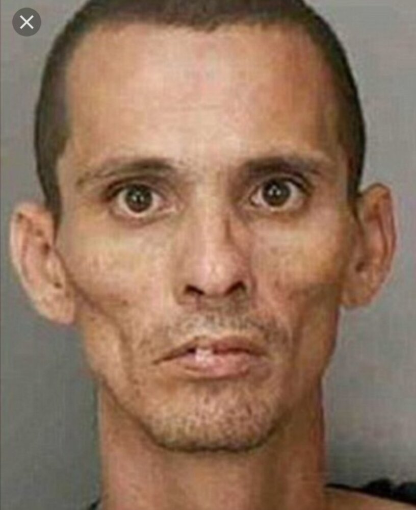 Screenshot 20200816 130217