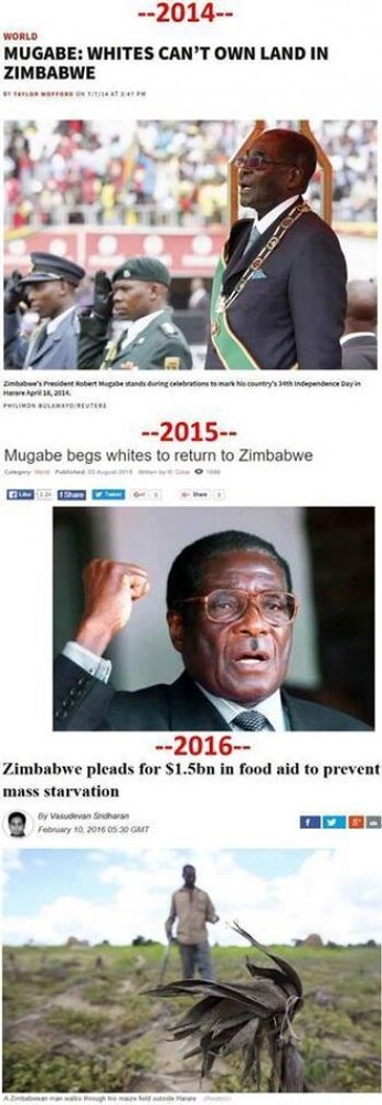 Zimbabwe land meme lel white