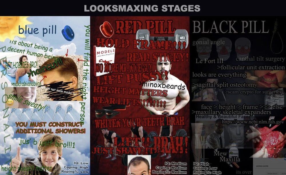 Looksmaxing stages