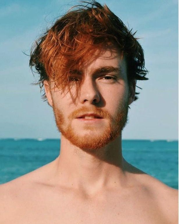 Ginger2