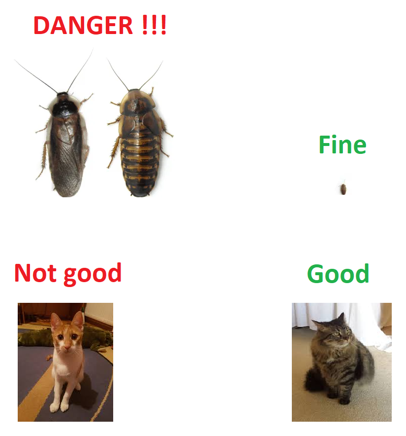 1597684489548 1597684489548