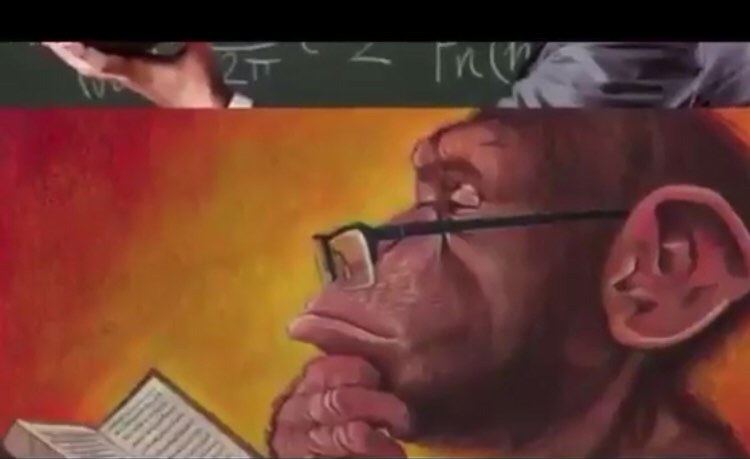 117944557 749545185877745 6664260264665321589 n