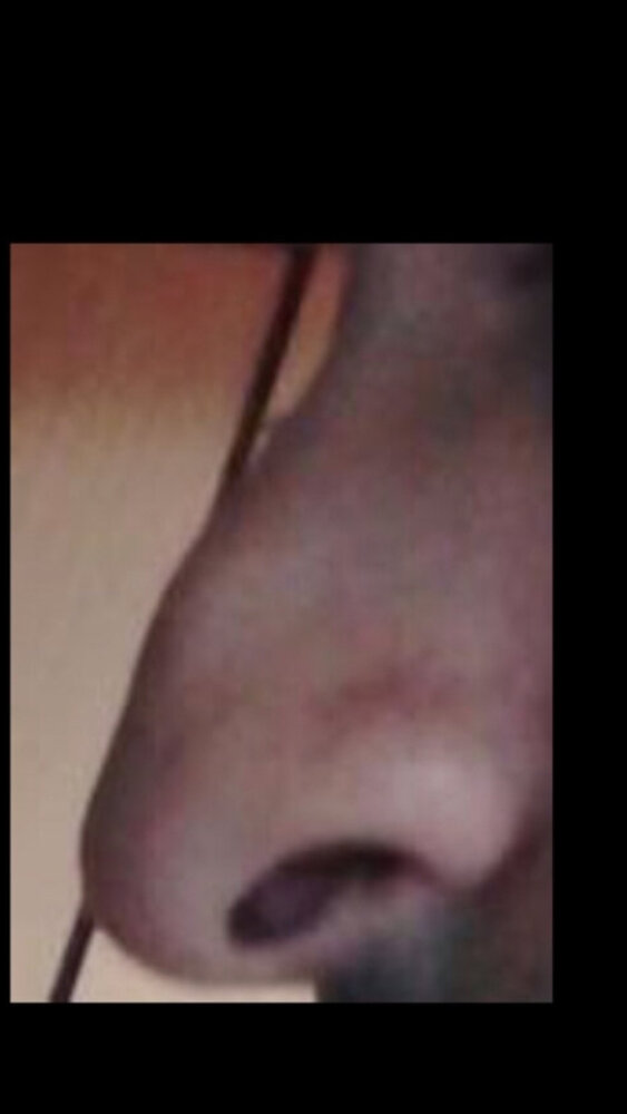 DB910C60 A00E 44F4 9D42 5CB95AF5570E