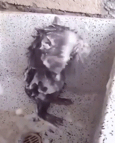 FF515348 8983 4E8E 8BE5 9B5C1B04C964