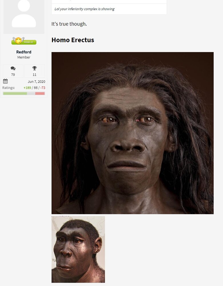 Erectus 3