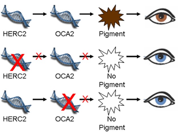 6399FED2 5EA1 47CF 9E29 2D759AA5E216