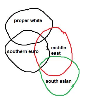 Ethnic venn diagram