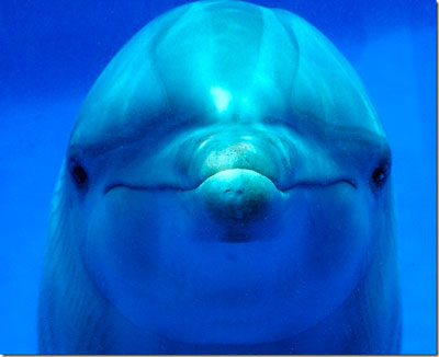 Asdfasdfasdfasdfadsf