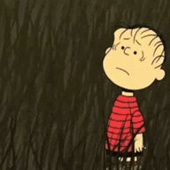 6305