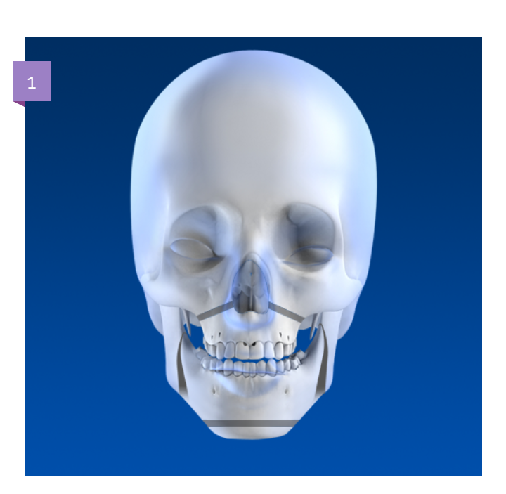 Screenshot 20200819 1726332