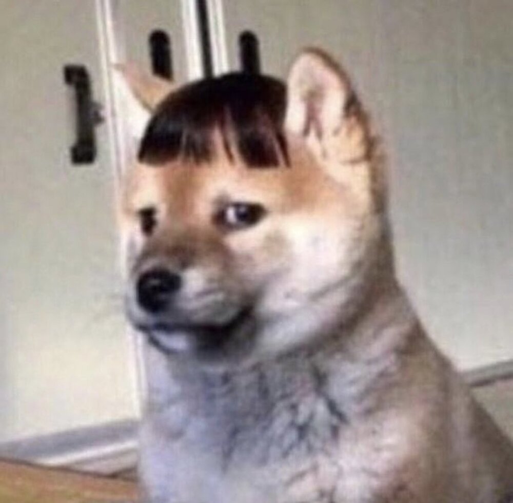 1566105744277