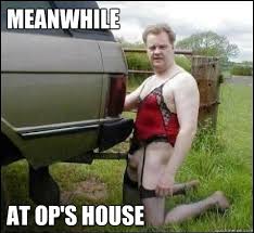 Meanwhile at op's house - Fukatruck - quickmeme