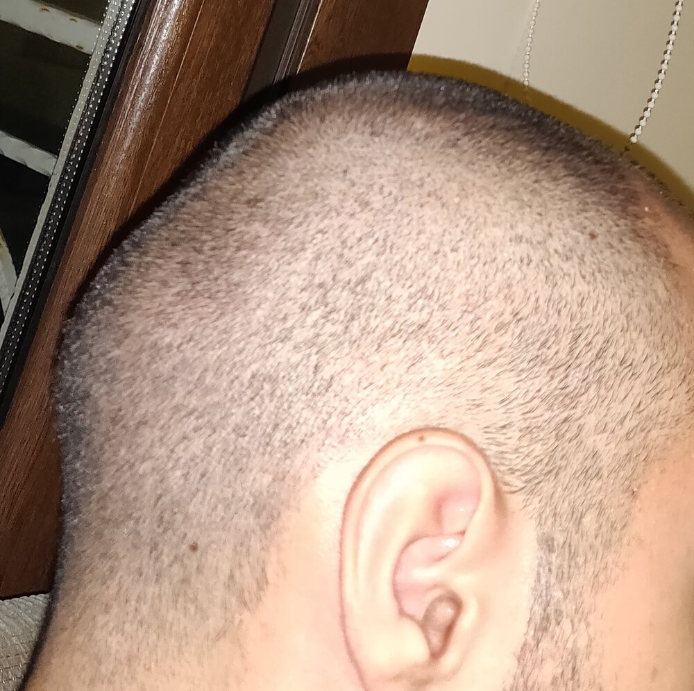 IMG 20200819 220820  01