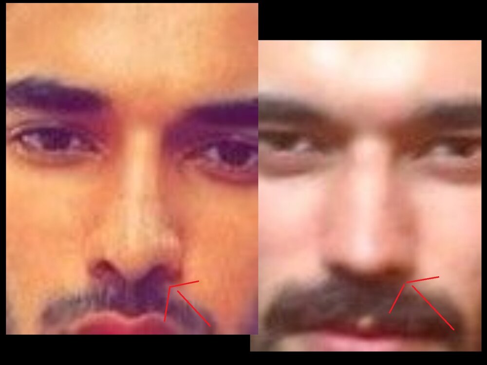 Salludon exposed