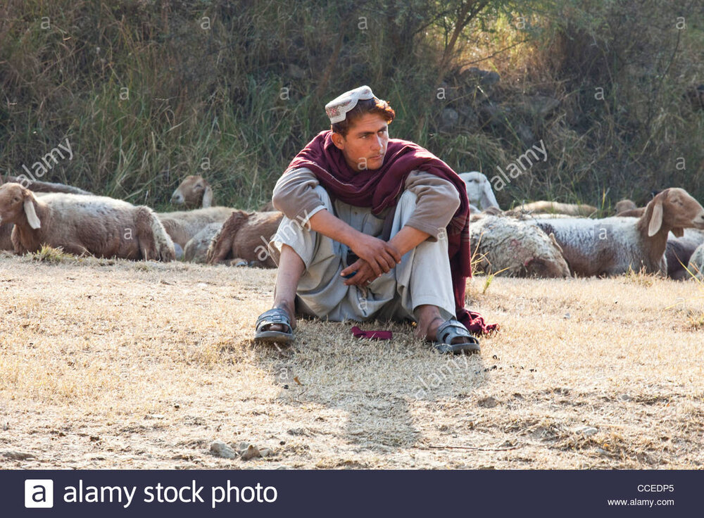 Shepherd in punjab province pakistan CCEDP5