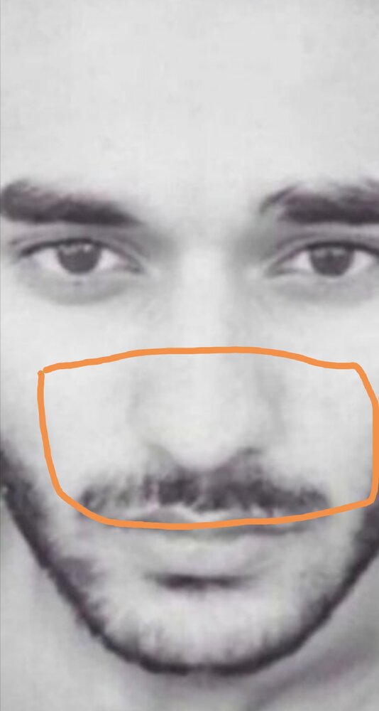 Screenshot 20200821 133505