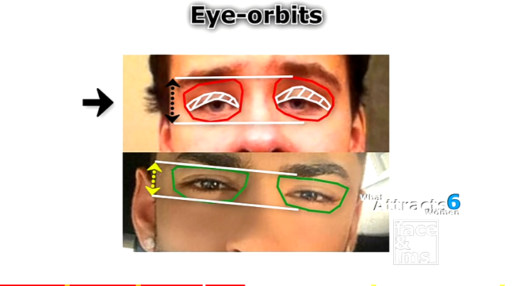 Screenshot 20200822 1310322