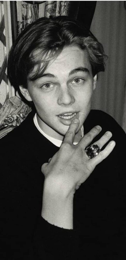 Leonardo DiCaprio  bc0c0f4e dc1f 40b3 b7fa e6cb0c6a526d