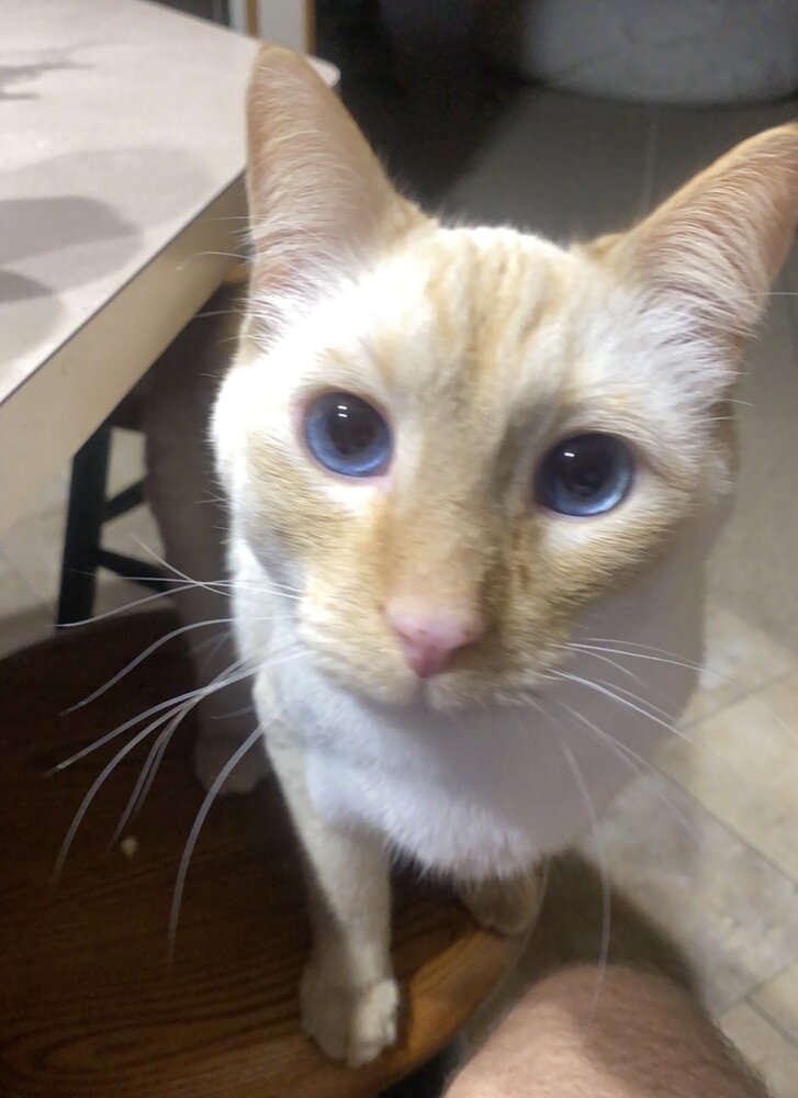 8D5770C5 C455 4BB2 8913 98102811F597