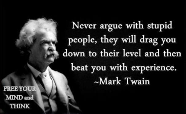 Never argue with stupid people mark twain