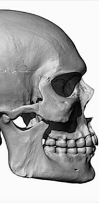 Screenshot 20200702 0014475