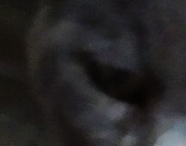 1598211842281