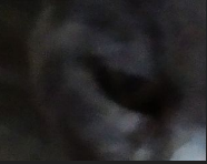 1598217360841