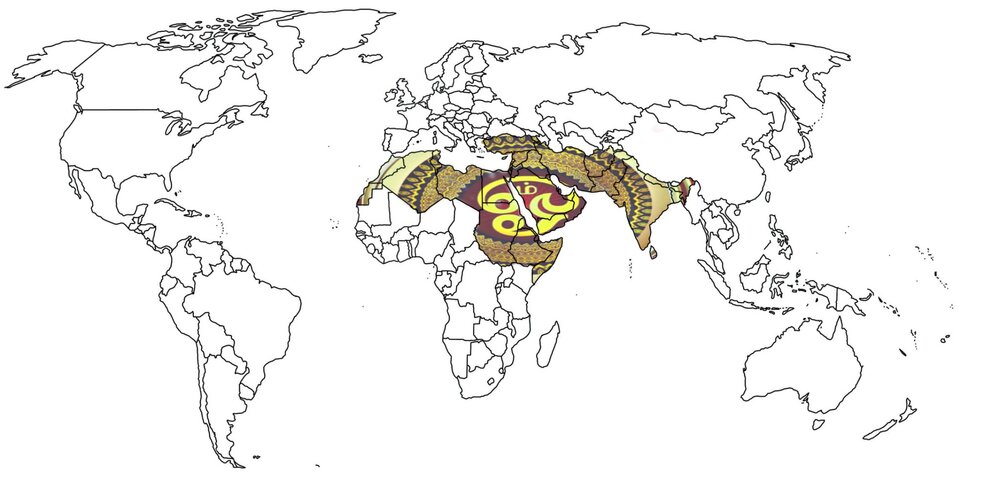 PicsArt 08 24 023523