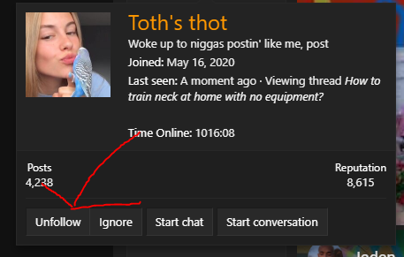 Xd
