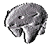 1520732417736