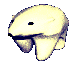 1521656120882