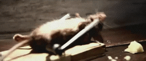 Giphy 1