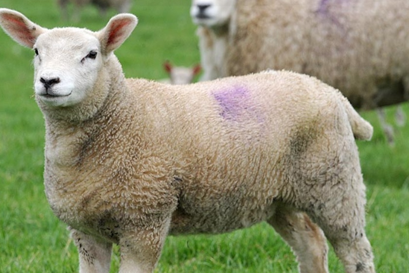 Screenshot 20200825 204600