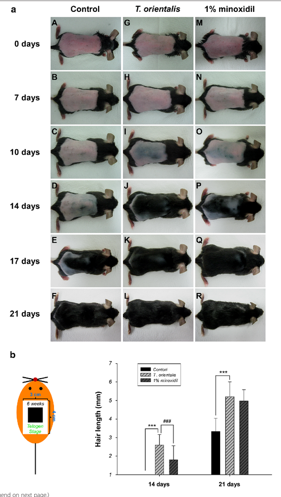 3 Figure1 1