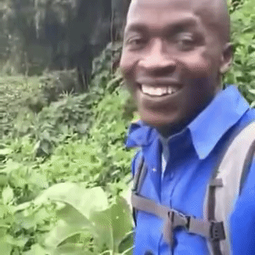 YawningElasticAuklet small