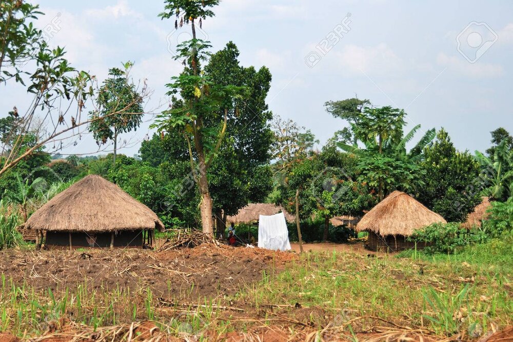 114BFDAD 9F0C 43FB 858C E65B494FC5F7