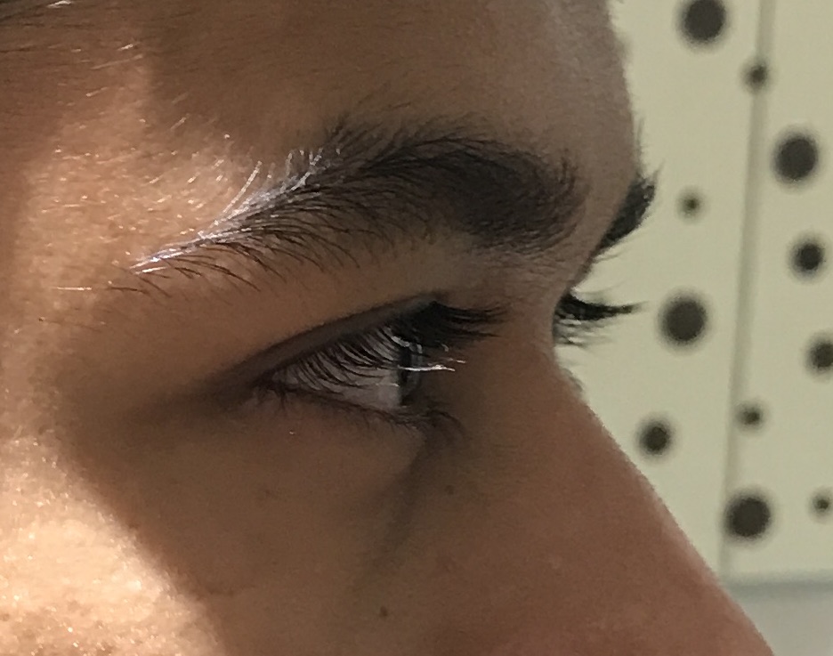 IMG 0828