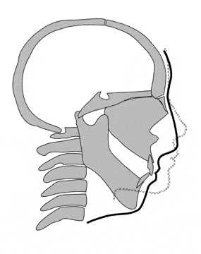 345tgf