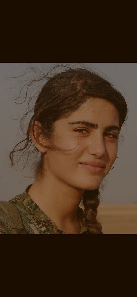 Screenshot 20200830 021430 Gallery