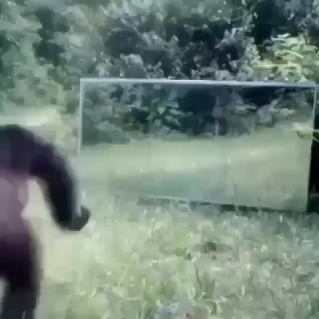 1598772419427