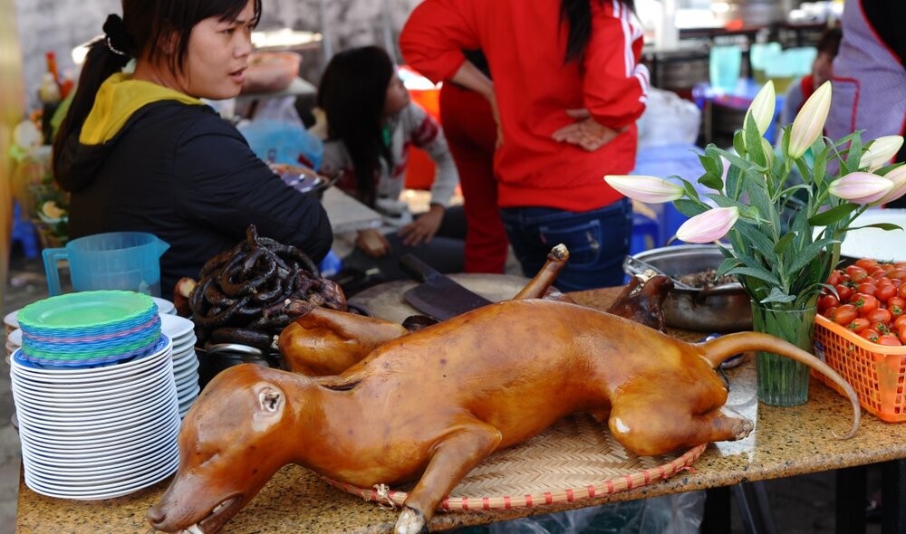 Vietnam dog meat flowers