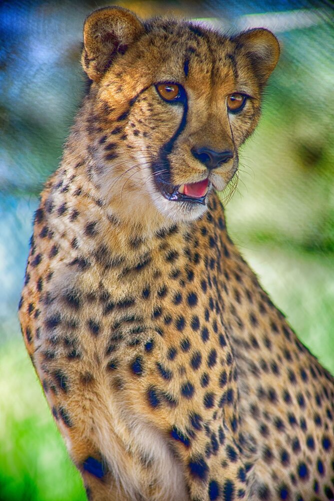 0eb106613a3a1cd4eca3feec4a9e809f