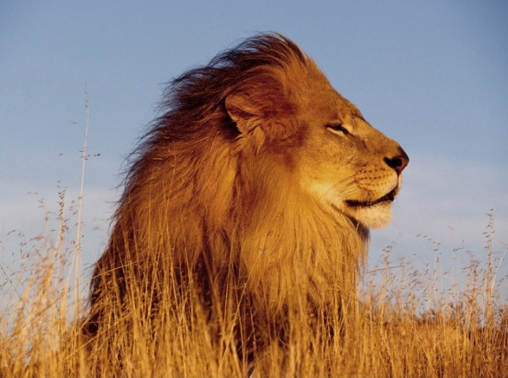 Screenshot 20200831 074025 DuckDuckGo