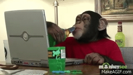 Chimp